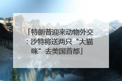 特朗普迎来动物外交：沙特将送两只“大猫咪”去美国首都