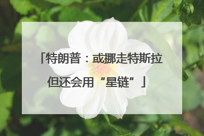 特朗普：或挪走特斯拉 但还会用“星链”
