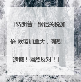 特朗普：钢铝关税加倍 欧盟加拿大：强烈遗憾！强烈反对！