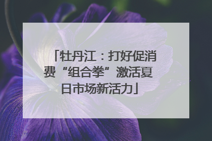 牡丹江：打好促消费“组合拳”激活夏日市场新活力