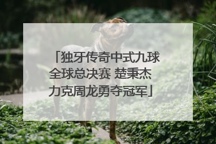 独牙传奇中式九球全球总决赛 楚秉杰力克周龙勇夺冠军