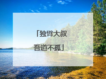 独臂大叔 吾道不孤