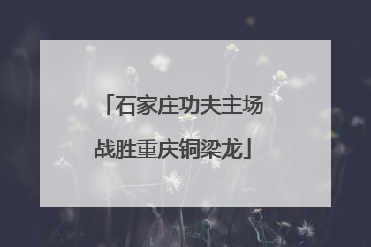 石家庄功夫主场战胜重庆铜梁龙