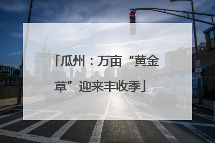 瓜州：万亩“黄金草”迎来丰收季