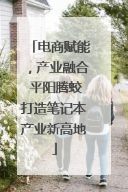 电商赋能，产业融合 平阳腾蛟打造笔记本产业新高地