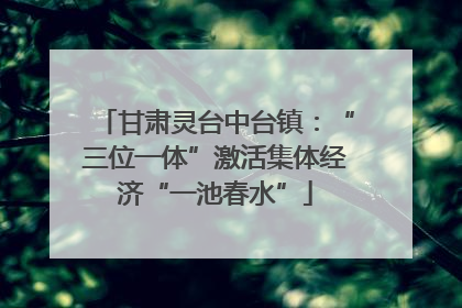 甘肃灵台中台镇：“三位一体”激活集体经济“一池春水”