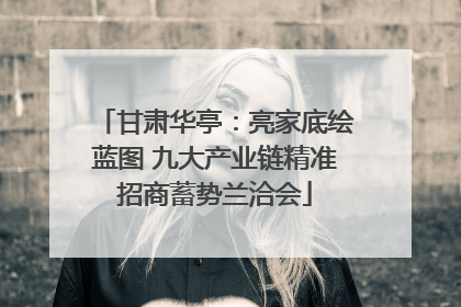 甘肃华亭：亮家底绘蓝图 九大产业链精准招商蓄势兰洽会