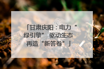 甘肃庆阳：电力“绿引擎” 驱动生态再造“新答卷”