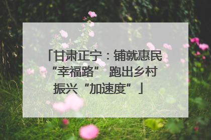 甘肃正宁：铺就惠民“幸福路” 跑出乡村振兴“加速度”
