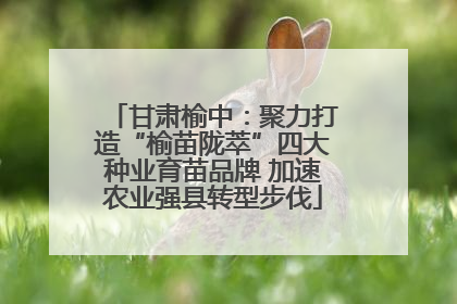 甘肃榆中：聚力打造“榆苗陇萃”四大种业育苗品牌 加速农业强县转型步伐