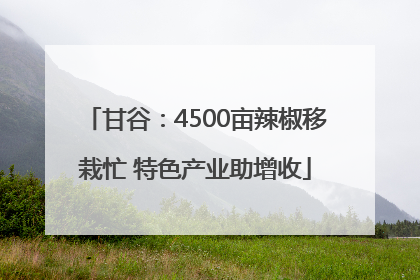 甘谷：4500亩辣椒移栽忙 特色产业助增收