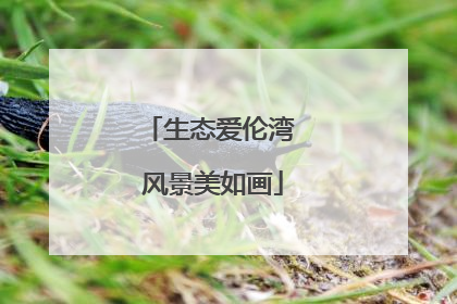 生态爱伦湾 风景美如画