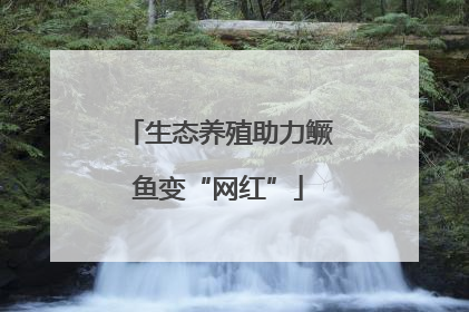 生态养殖助力鳜鱼变“网红”