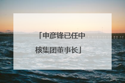 申彦锋已任中核集团董事长
