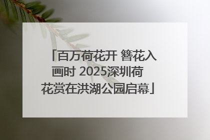 百万荷花开 簪花入画时 2025深圳荷花赏在洪湖公园启幕