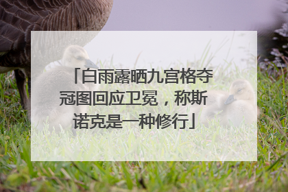 白雨露晒九宫格夺冠图回应卫冕，称斯诺克是一种修行