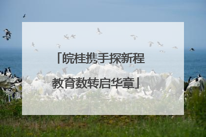 皖桂携手探新程 教育数转启华章