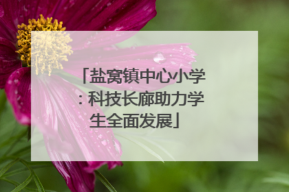 盐窝镇中心小学：科技长廊助力学生全面发展