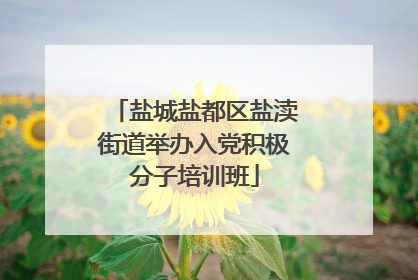 盐城盐都区盐渎街道举办入党积极分子培训班