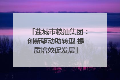盐城市粮油集团：创新驱动助转型 提质增效促发展