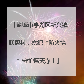 盐城市亭湖区新兴镇联盟村：密织“防火墙”守护蓝天净土