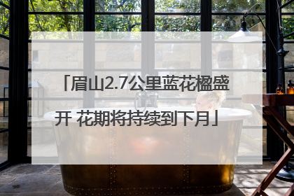 眉山2.7公里蓝花楹盛开 花期将持续到下月