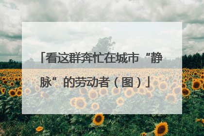 看这群奔忙在城市“静脉”的劳动者（图）