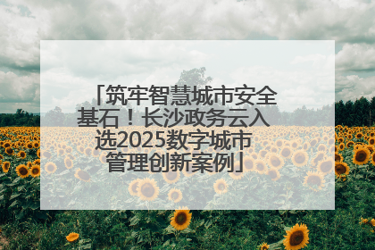 筑牢智慧城市安全基石！长沙政务云入选2025数字城市管理创新案例