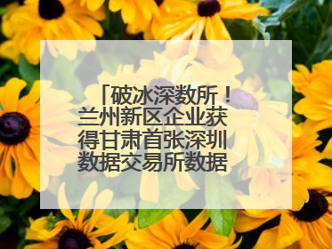 破冰深数所！兰州新区企业获得甘肃首张深圳数据交易所数据产权登记证书