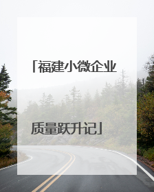 福建小微企业质量跃升记