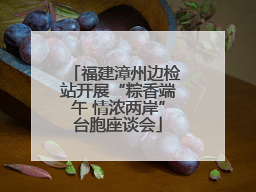 福建漳州边检站开展“粽香端午 情浓两岸”台胞座谈会
