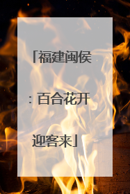 福建闽侯：百合花开迎客来