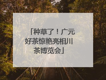 种草了！广元好茶惊艳亮相川茶博览会