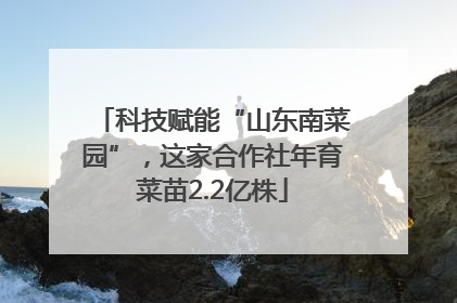 科技赋能“山东南菜园”，这家合作社年育菜苗2.2亿株