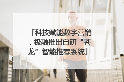 科技赋能数字营销，极融推出自研“苍龙”智能推荐系统