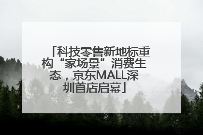 科技零售新地标重构“家场景”消费生态，京东MALL深圳首店启幕