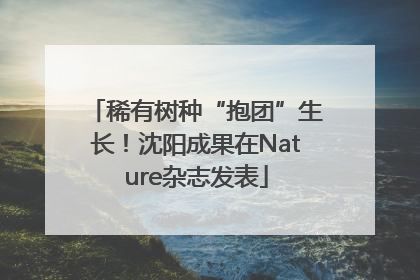稀有树种“抱团”生长！沈阳成果在Nature杂志发表