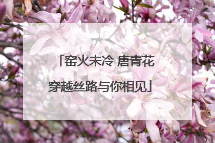 窑火未冷 唐青花穿越丝路与你相见