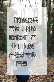 竹溪县兵营镇：科技赋能烟叶产业 田间测产绘就丰收图景