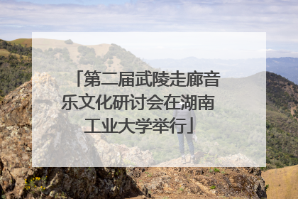 第二届武陵走廊音乐文化研讨会在湖南工业大学举行
