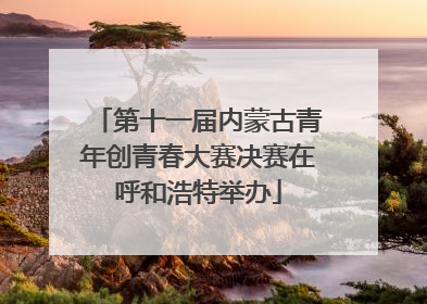 第十一届内蒙古青年创青春大赛决赛在呼和浩特举办