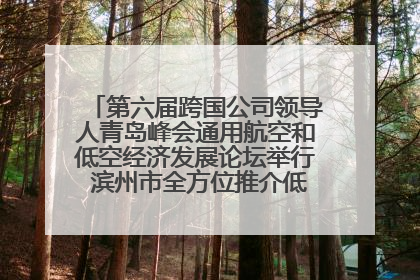 第六届跨国公司领导人青岛峰会通用航空和低空经济发展论坛举行 滨州市全方位推介低空经济发展优势