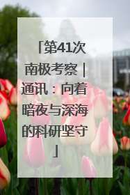 第41次南极考察｜通讯：向着暗夜与深海的科研坚守