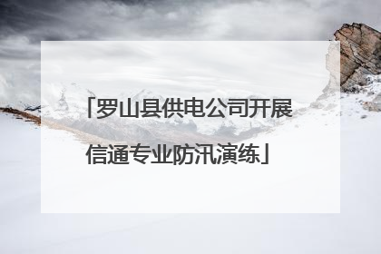 罗山县供电公司开展信通专业防汛演练