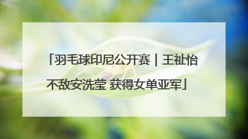 羽毛球印尼公开赛｜王祉怡不敌安洗莹 获得女单亚军