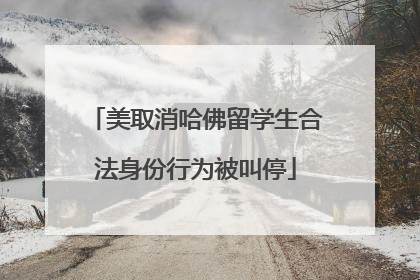 美取消哈佛留学生合法身份行为被叫停