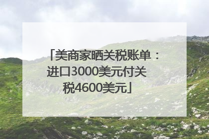 美商家晒关税账单：进口3000美元付关税4600美元