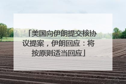 美国向伊朗提交核协议提案，伊朗回应：将按原则适当回应