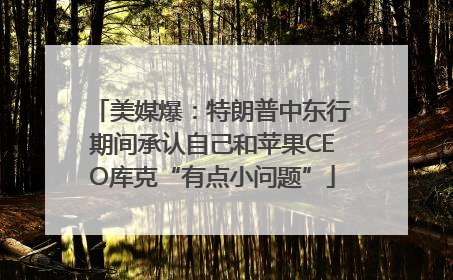 美媒爆：特朗普中东行期间承认自己和苹果CEO库克“有点小问题”