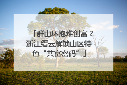 群山环抱难创富？浙江缙云解锁山区特色“共富密码”
